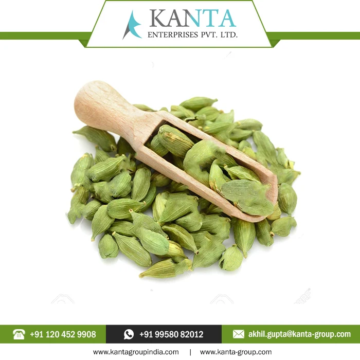 Pure 100% Natural Cardamom Essential Oil powerful flavoring and aromatic agent Available at low Price