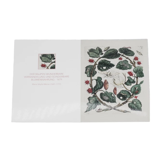 Factory Made Cheap High Quality Custom Kraft Paper cards gift card