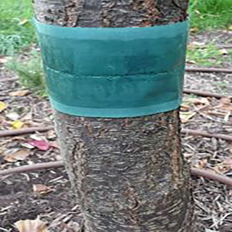 Outdoor insects glue band traps and the tree glue band for effective insect control Grease Band Traps