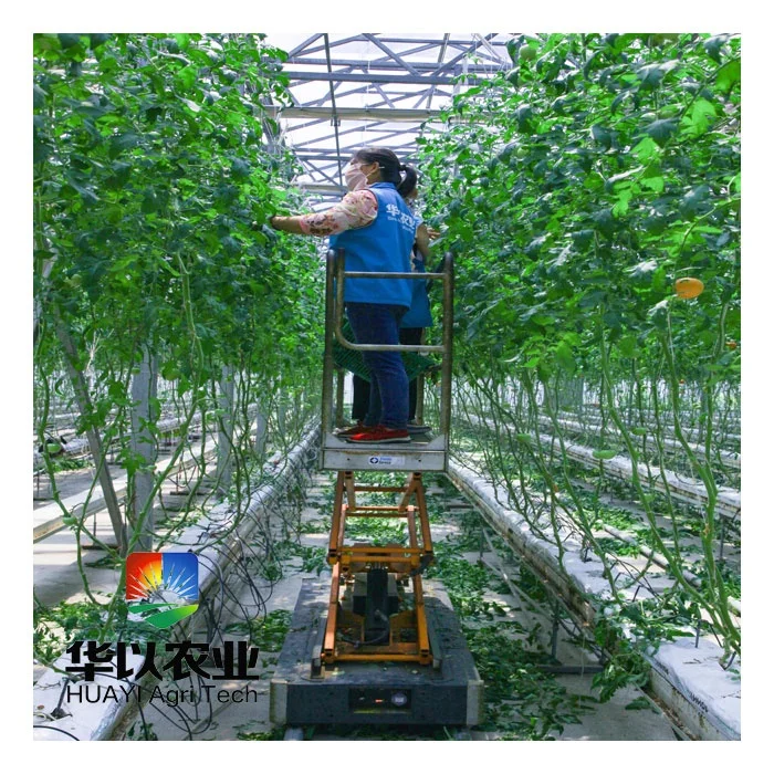 Automated hidroponic cultivation hydroponic vertical growing systems