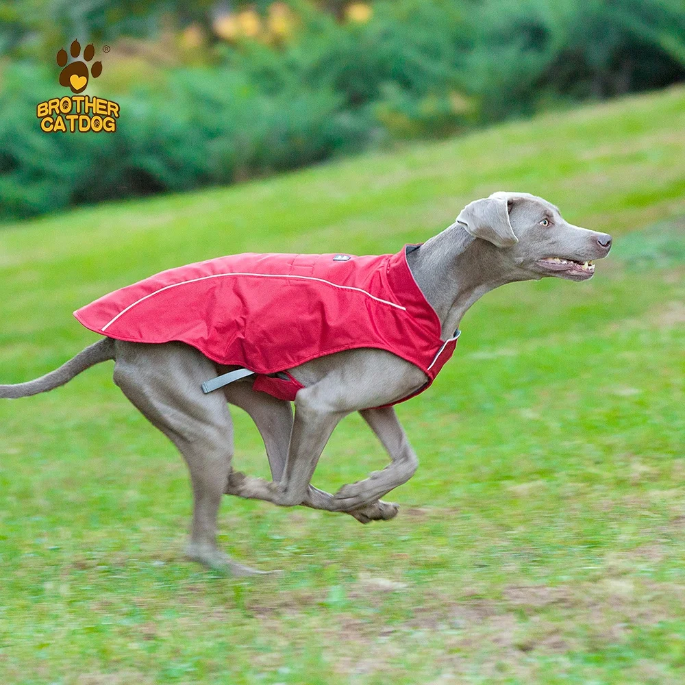 2023 new best-selling customizable fall and winter models waterproof reflective pet vest rashers