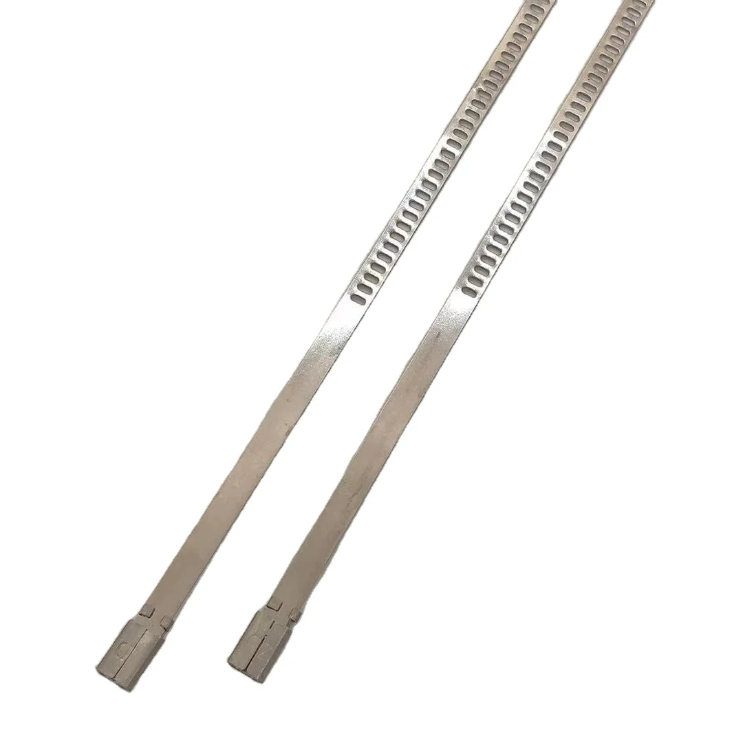 Manufacturer supply stainless steel ladder type tightener cable ties-micro uncoated ties