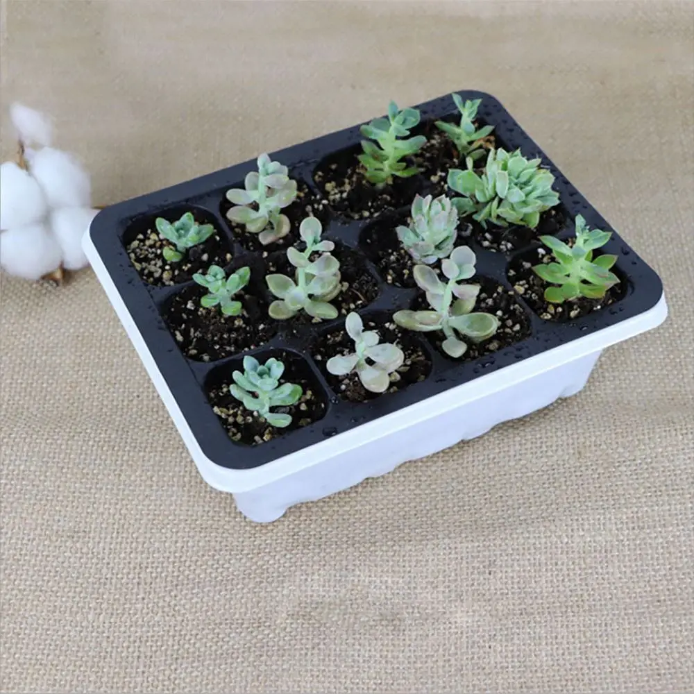 DD543  New 8 12 Cells Gardening Seed Case Plant Germination Boxes Succulent Cultivation Mini Growing Tray Nursery Seedling Box