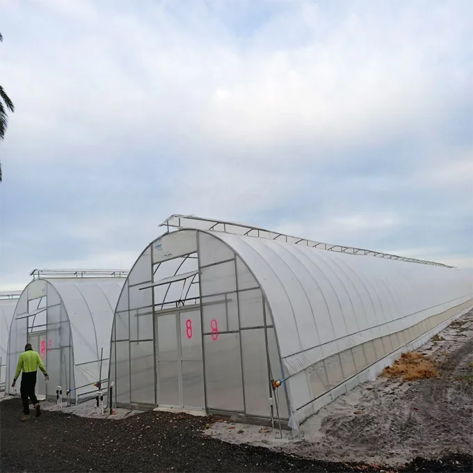 FM agriculture used poly tunnel \ plastic film greenhouse tent for sale