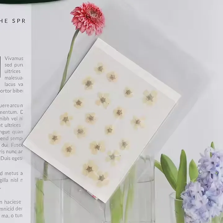12 Color manicure Dry Flower Nail Sticker Large Dry Flower Nail Glitter Accessories Nail Art Sticker Product