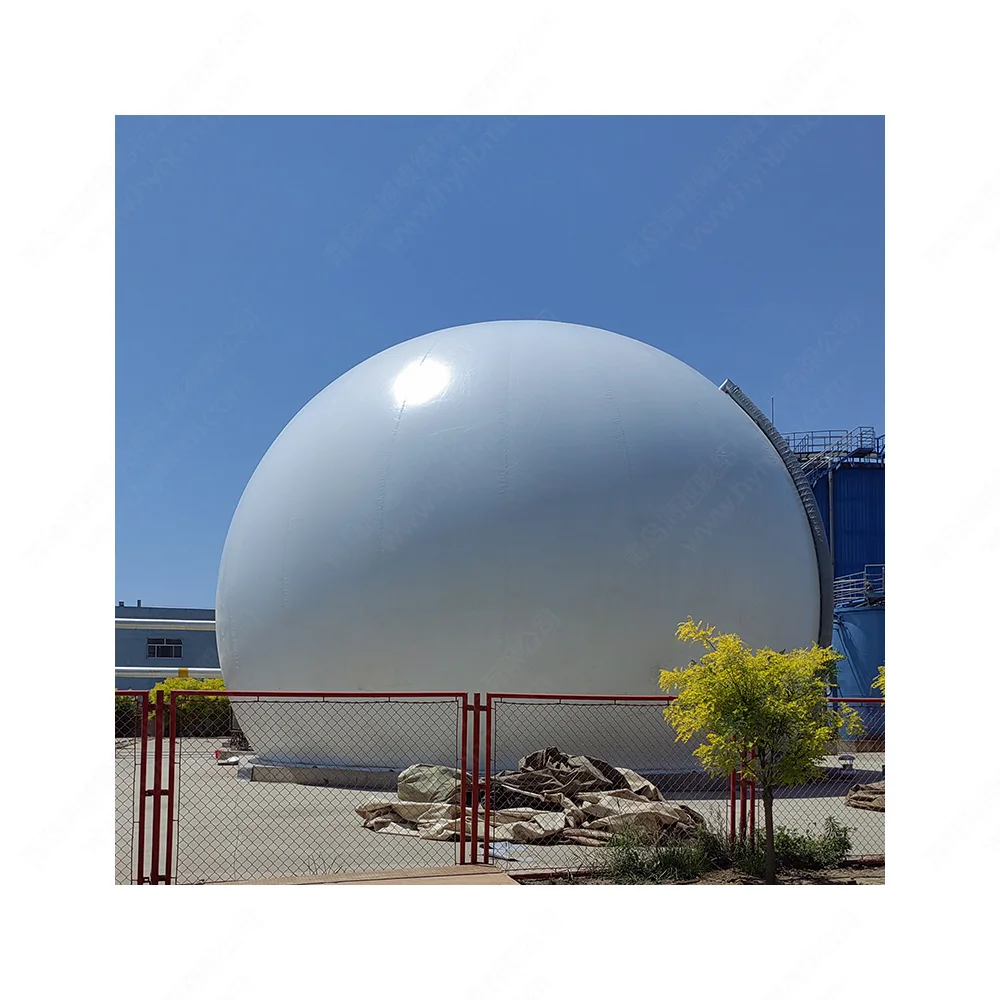 Wholesale Biogas project equipment set portable biogas digester with fermentation storage and utilization