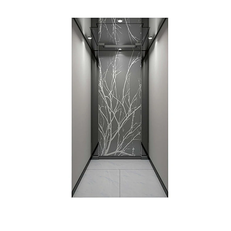 6 этажей пассажирский коммерческий небольшой домашний Лифт лифта для строительства