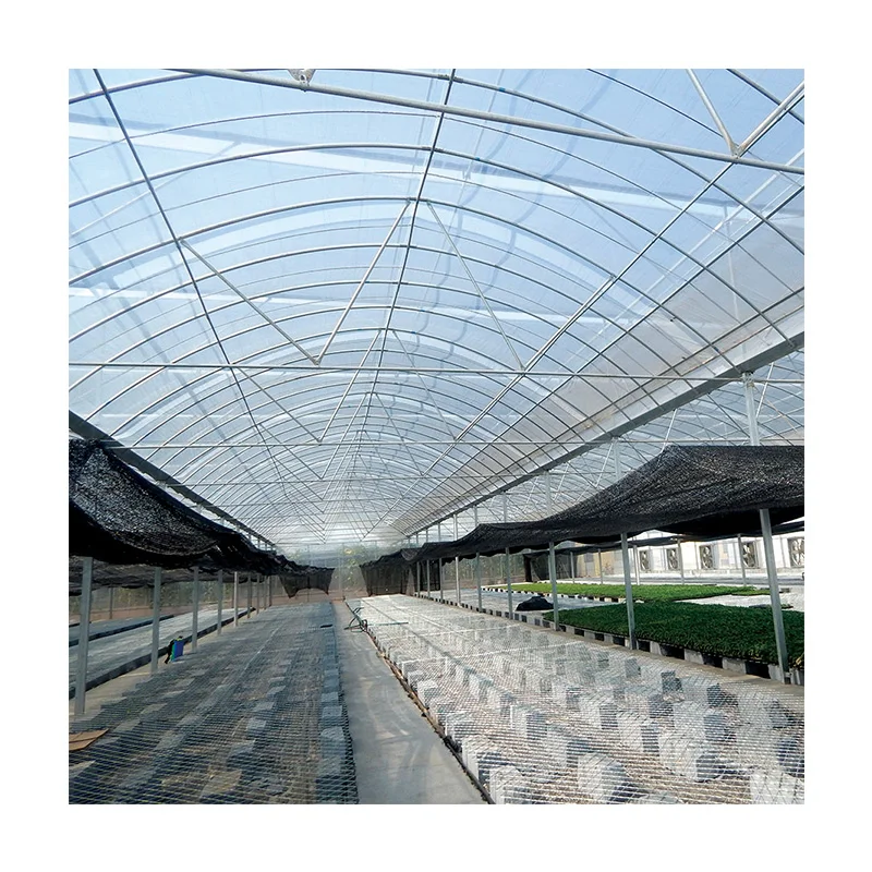 
Tunnel Economic Plastic Film Galvanized Steel Frame Green House 