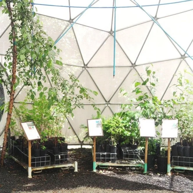 China custom-built glass geodesic dome greenhouse domes for sale