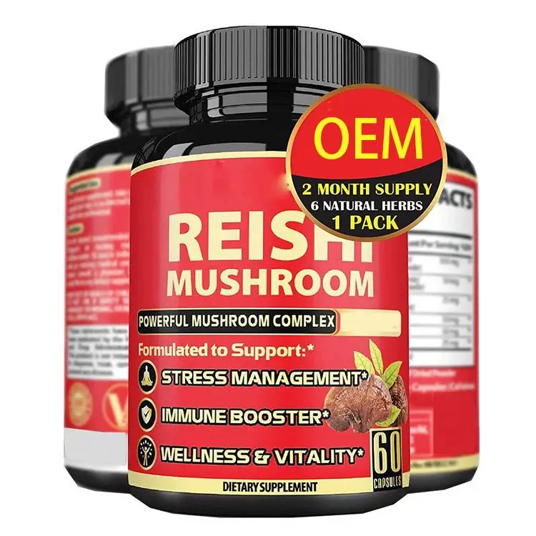 OEM Mushroom Supplement Capsules Manufacturer Mushroom Complex Capsules for Brain Supplements for Memory Focus Energy Support