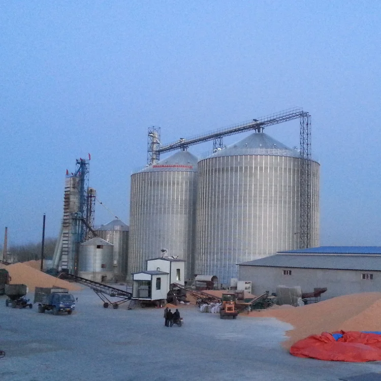 Бункерный нижний зерновой бункер, оснащенный лифтами, конвейерами, подиумами и другими необходимыми объектами