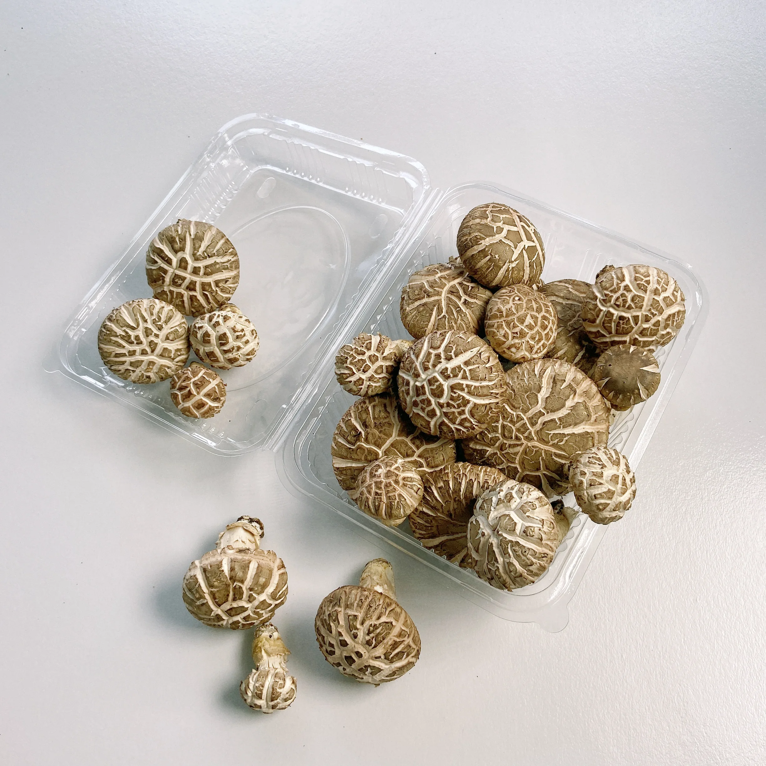 High Quality Round Umbrella-shaped Buy Healthy Dried Shiitake Mushrooms