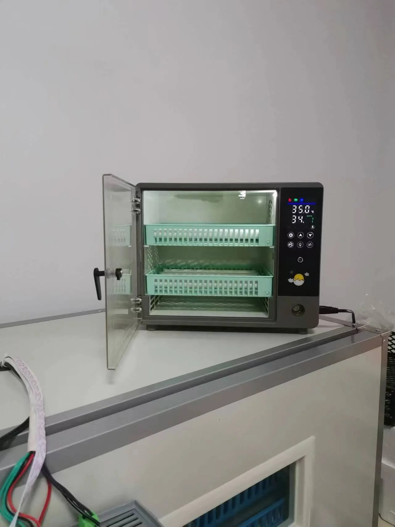 Poultry Farming Equipment Hatcher Quail Goose Duck Eggs Hatchery Hatching Machine Chicken Egg Incubators Price