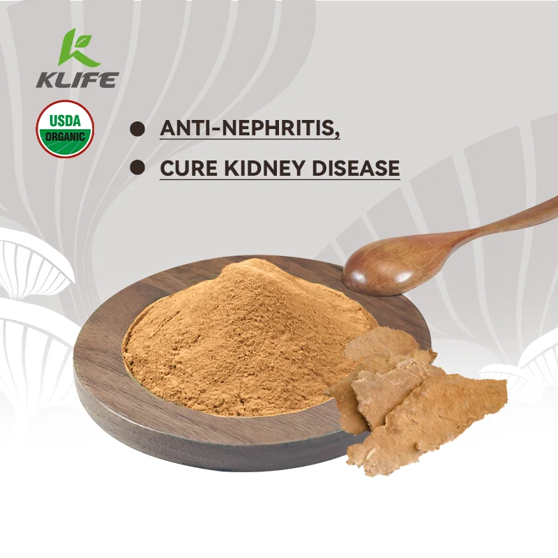 Free Sample Irpex Lacteus Extract Powder Polysaccharide Pure Natural Herbal Supplement