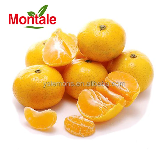Montale Orange Fresh Fruit Baby Mandarin Nanfeng Orange