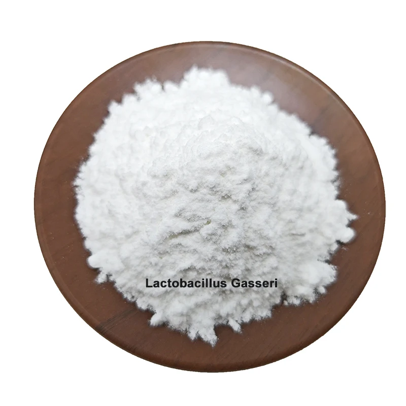 Probiotics Freeze Dried Lactobacillus Gasseri Powder Lactobacillus Gasseri