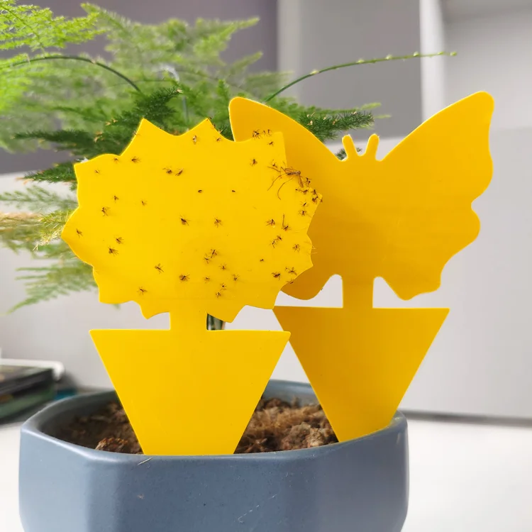 Strong Flies Sticky Traps Bugs Sticky Catching Aphid Insects Pest Killer Outdoor Fly Board Bait Flies Double Traps Sticker