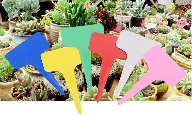 Cheap PVC short plant labels T shape design plastic label tag for garden