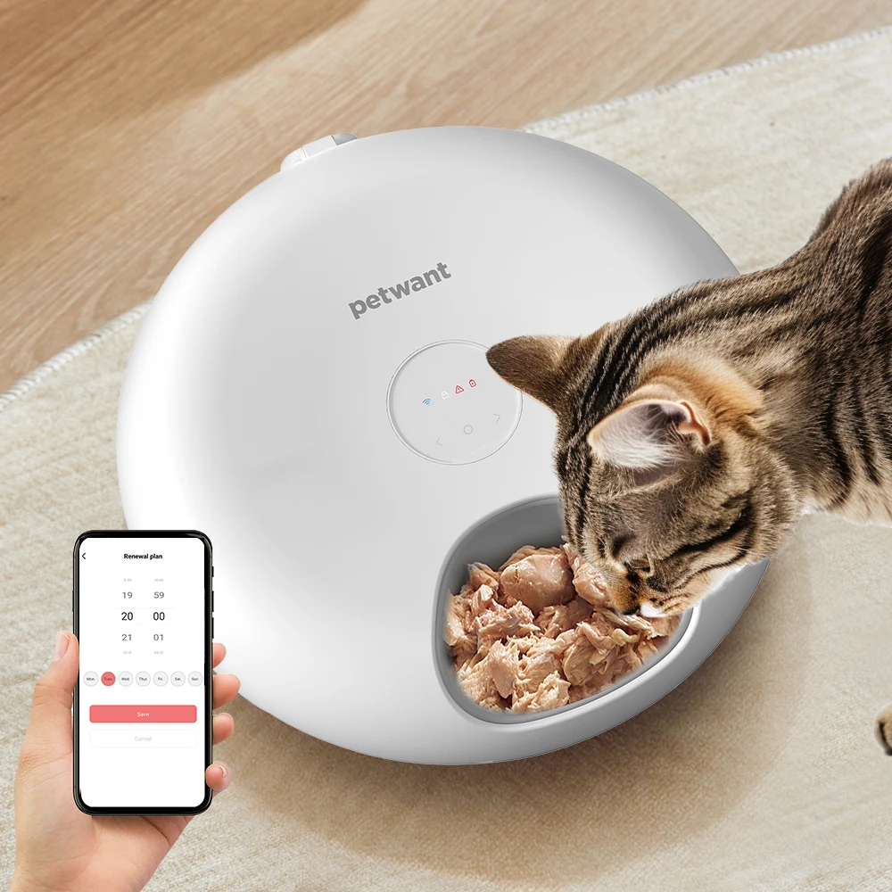 Petwant Smart WIFI 6 Meals Tuya APP Remote Timed Feeding Cat Small Animals Automatic Pet Food Dispenser Feeder With 2 Ice Packs