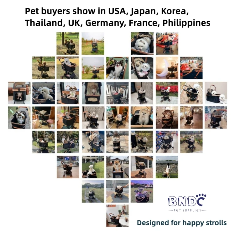 Folding Pull Rod Pet Backpack Travel Cat Box Collapsible Dog Carrier Pet Carriers Pet Trolley Carrier With Wheels