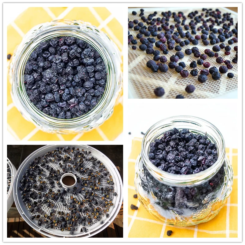 High Capacity 8T Hot Air Blueberry Drying Machine Fruit Dryer