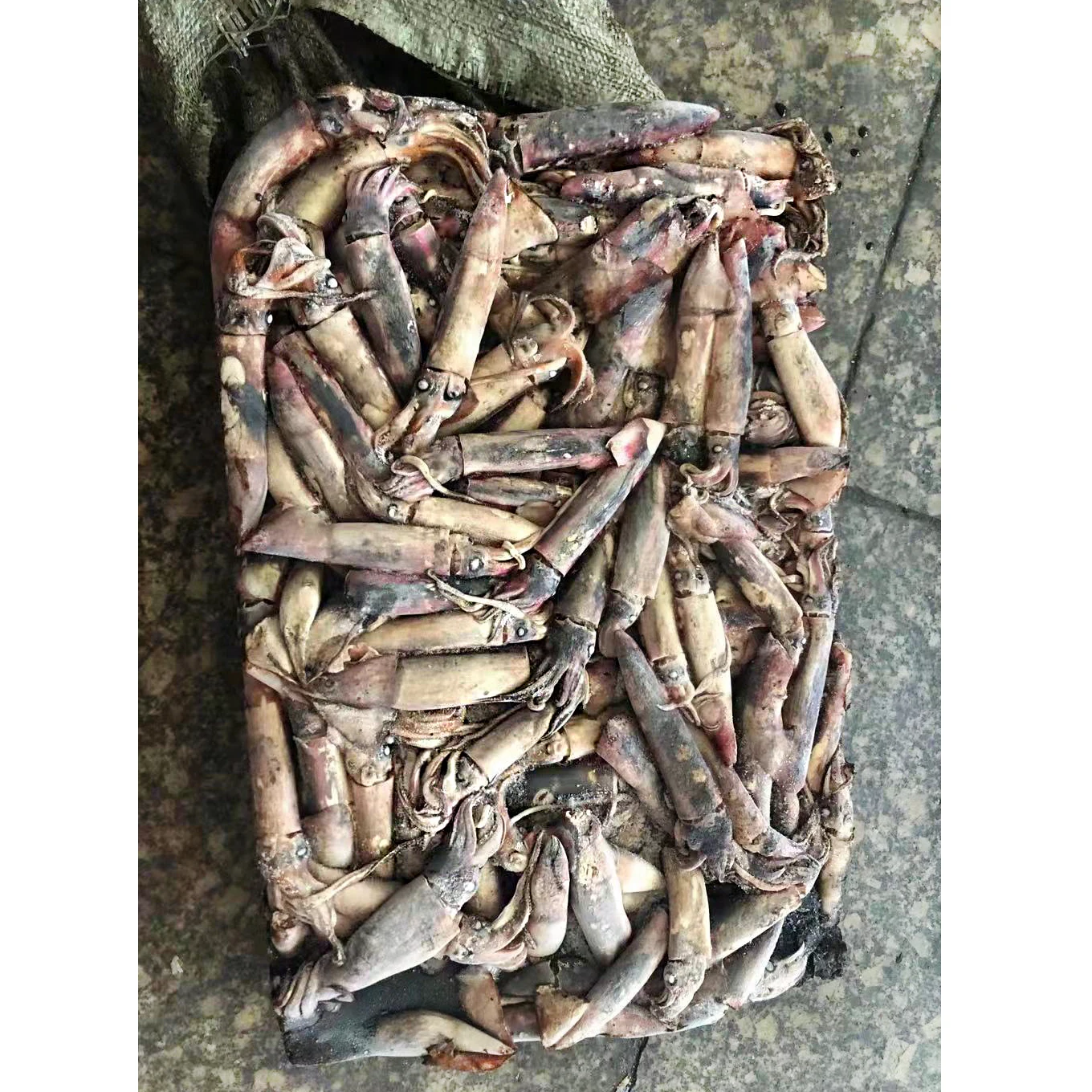 Новое поступление высокое качество морепродукты цена на свежий кальмар замороженный черный для