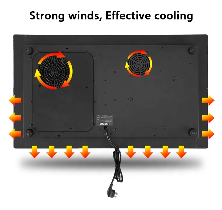 multi induction cooker