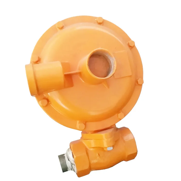 Large Capacity for Big Performance Reducing Pressure Gas Regulator LPG