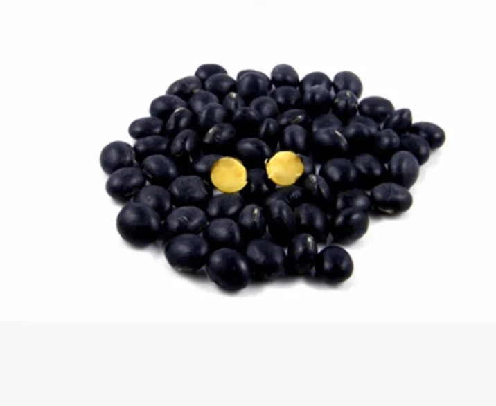 Cheap Price Black Soybean with Yellow Kernel in Bulk