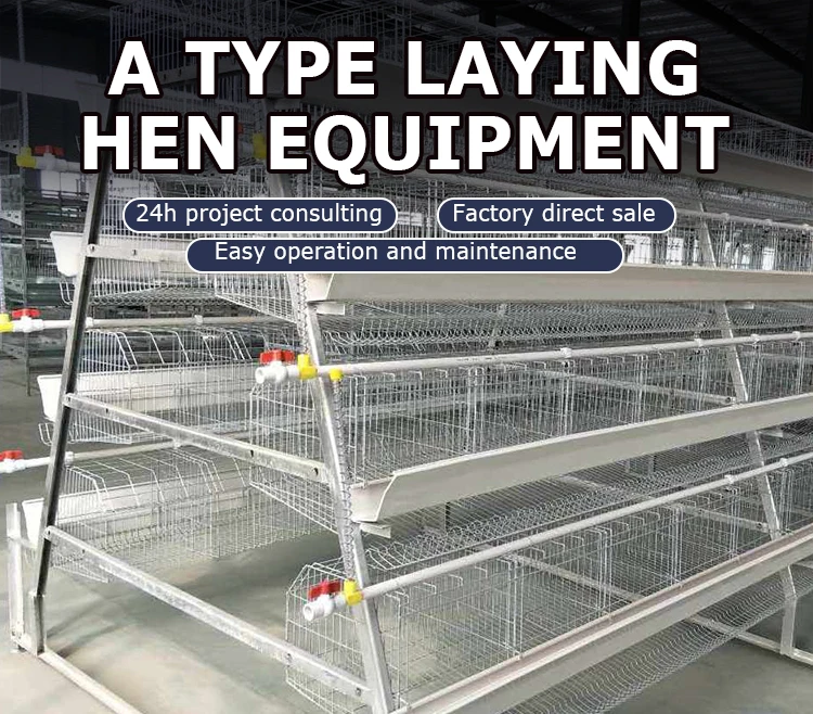 TBB Factory Supply Broiler Battery Cages Automatic a Type Chicken Farm Equipment