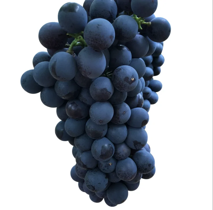 
Bulk sell superior seedless red grapes/grapes/fresh grapes fruit from china orchard 