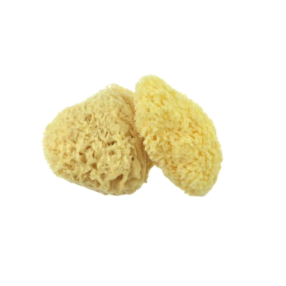 Sponge Material and Adults Age Group Natural sea sponge