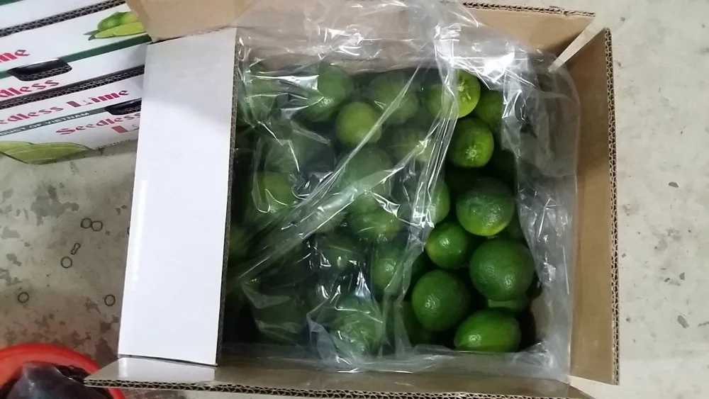 
BEST QUALITY SEEDLESS LEMON 2021 FROM VIETNAM 