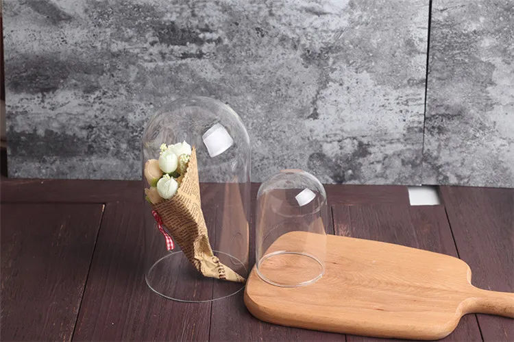 Custom Mini Terrarium Glass Dome with Wooden Cork Base for Hdisplay Decoration