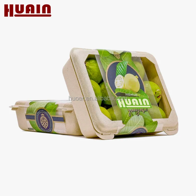 Customize Wet Press Eco Friendly Bamboo Pulp Packaging For Fruit Box