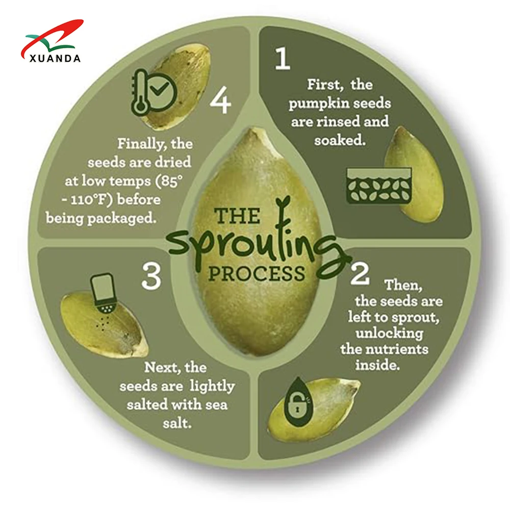 Wholesale Price Shine Skin Pumpkin Seed New Crop Peeled Shelled green Pumpkin Seeds Kernels China Pumpkin Seeds Price