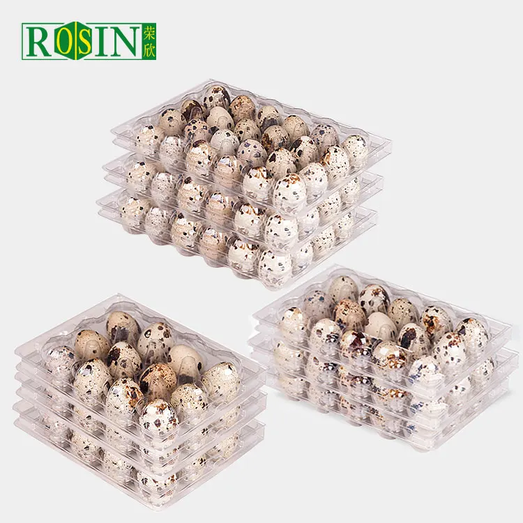 15 Holes transparent quail egg sale tray disposable plastic clamshell egg trays for quail tray eggs