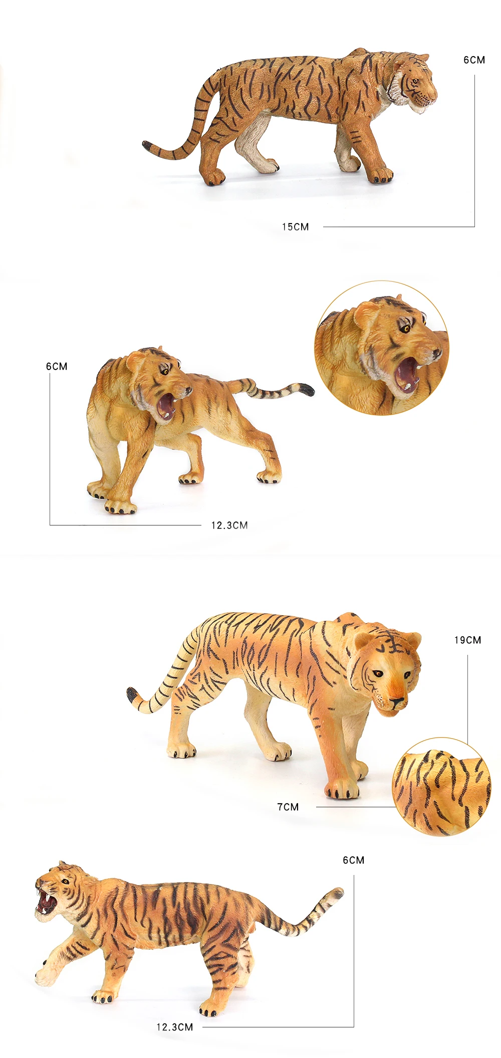 tiger (2)