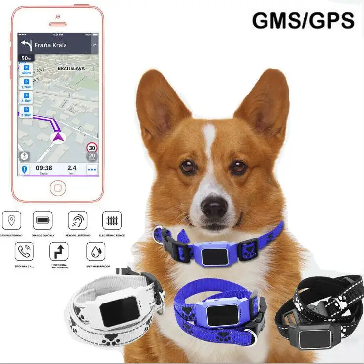  D35 GPS-трекер для собак кошек домашних животных с бесплатным