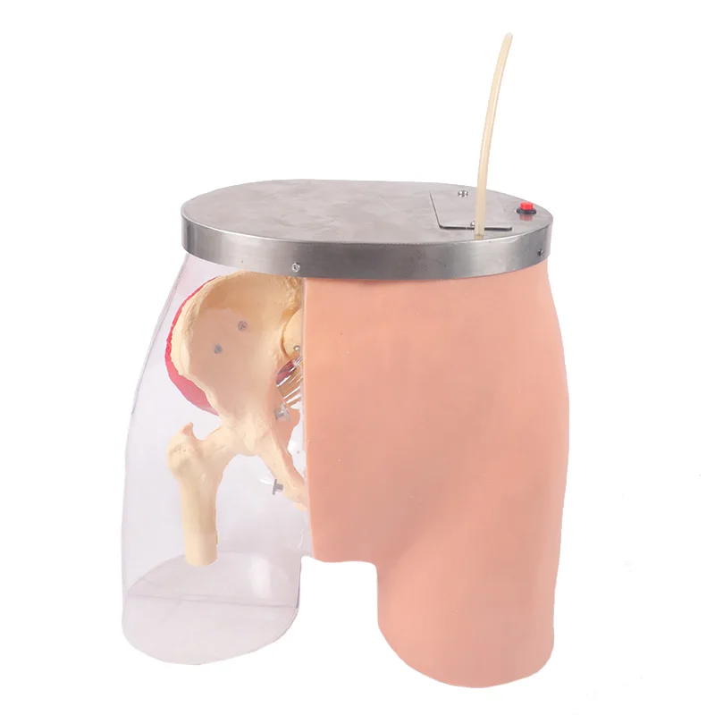 Advanced Nursing Hip Muscle Injection Buttock Transparent Model For Medical training