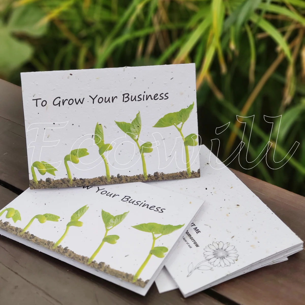 
 Выращивание растительных семян, бумажная поздравительная открытка с растительными травами, семена овощей  