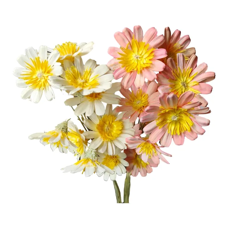 wholesale  Handmade Melon seed flower atural dried sunflower colorful handmade seed shell flower for floral arrangement