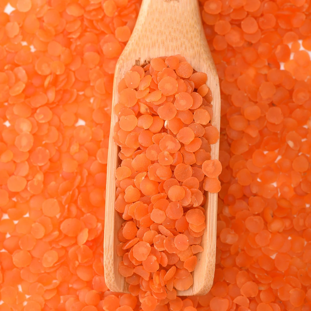  Organic Agricultural Products Red Split Lentils Crop Beans