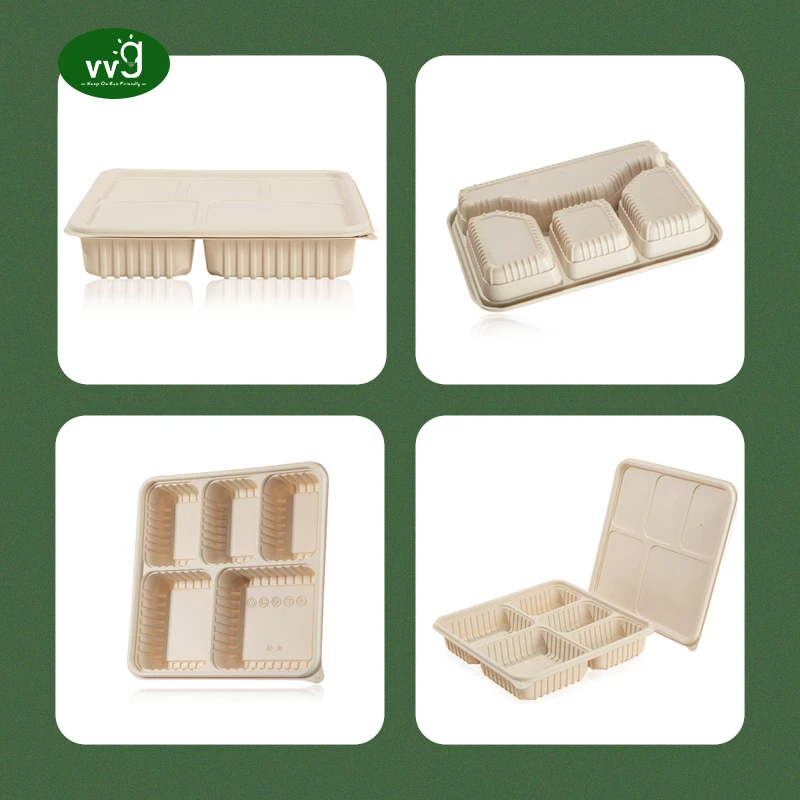 VVG corn starch disposable lunch box 5 compartment biodegradable disposable takeaway cornstarch food container with lid