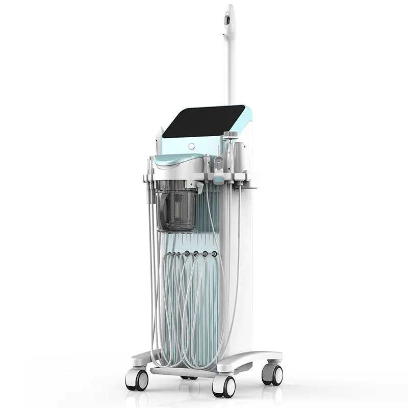 Multifunctional Face Skin Ems Rf Radio Frequency Device Facial Led Photon Korean Skin Care Machine