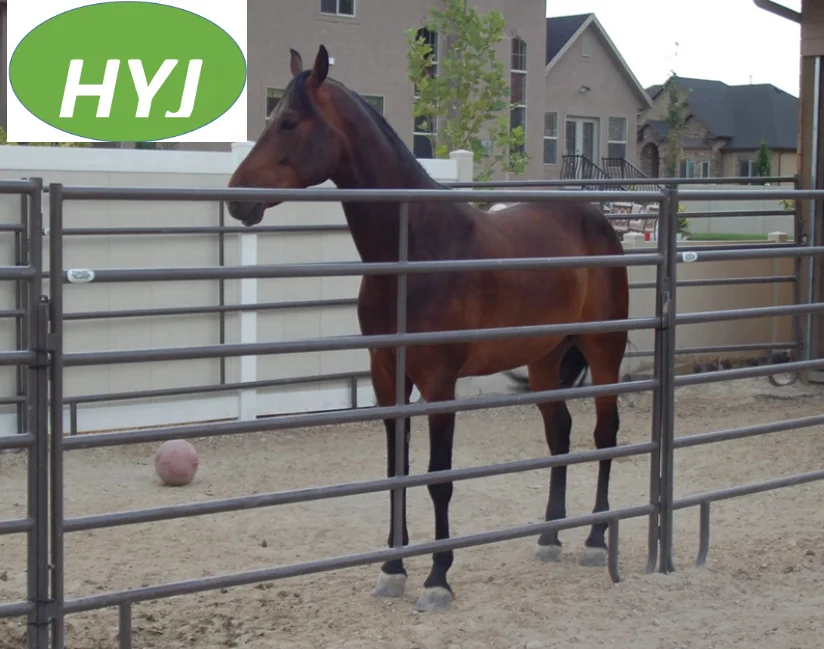 Portable Hot Sale Galvanized Metal Farm Equipment For Dairy Cow Cattle Yards Cubicles From China