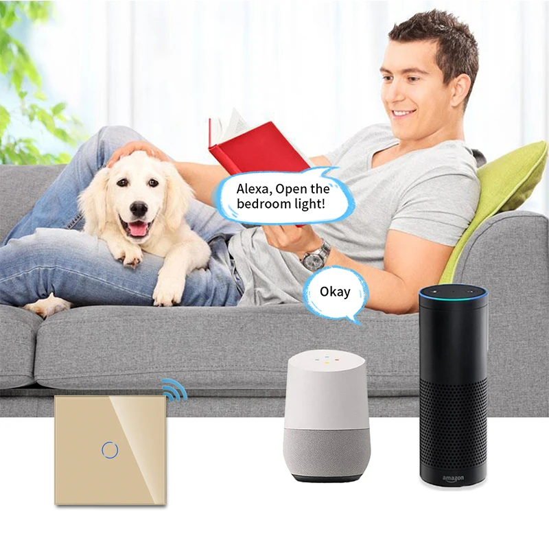 Bingelec Home Automation Europe 1 Gang Wifi Remote Control Wall Touch Light Zigbee Tuya Smart Switch