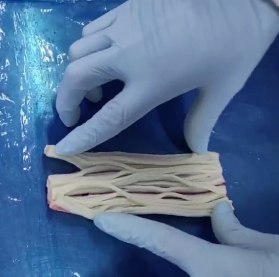 Frozen imitation Surimi Crab stick filament style suitable for salads pizza  sushi seafood fried rice etc For America  USA