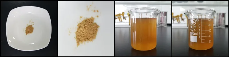 Чистый натуральный 30% Полисахариды Львиная Грива экстракт/Львы грива экстракт гриба