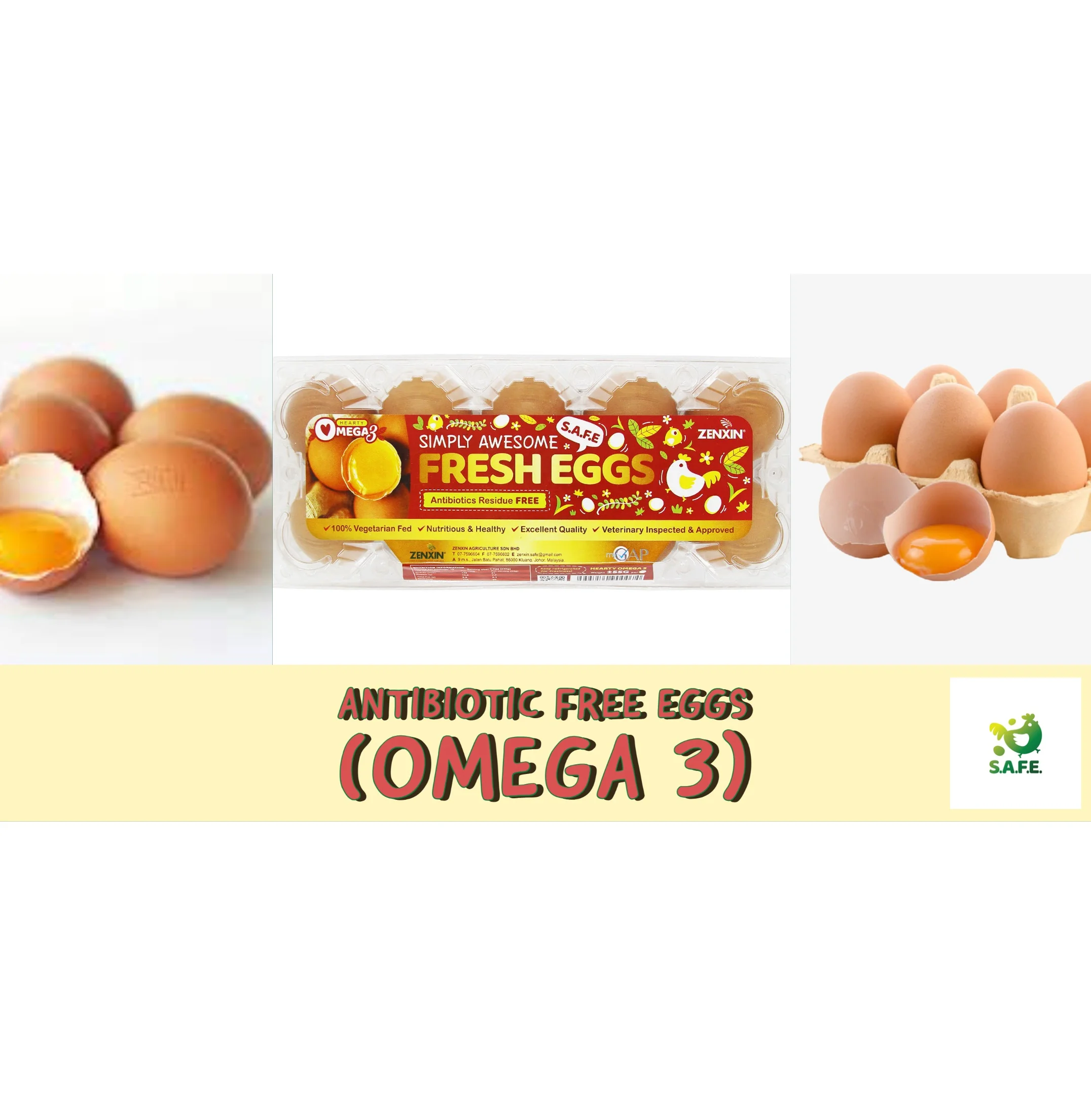 
High-quality Table Chicken Eggs Zenxin Antibiotic Free Omega-3 Eggs 